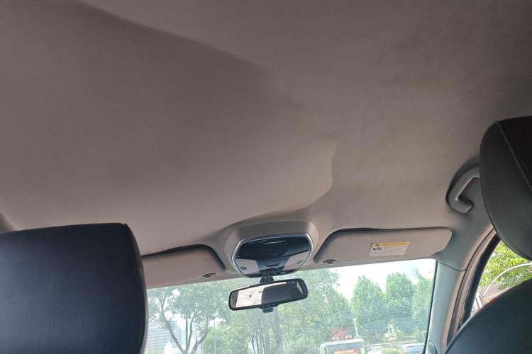 Used Denza 2014 Stylish Edition Headliner