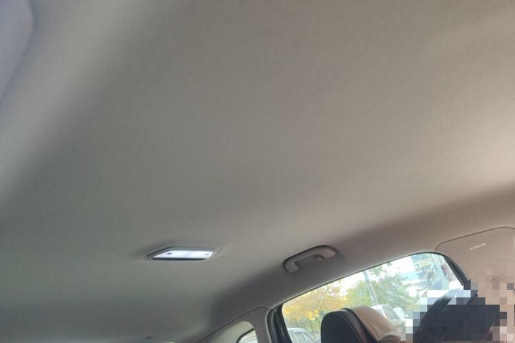 Used Denza 2014 Deluxe Edition Headliner