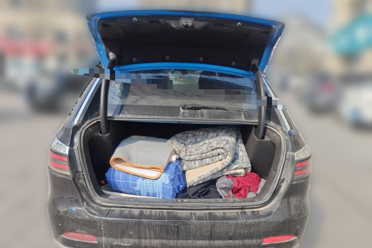 Used Denza 2014 Stylish Edition Trunk