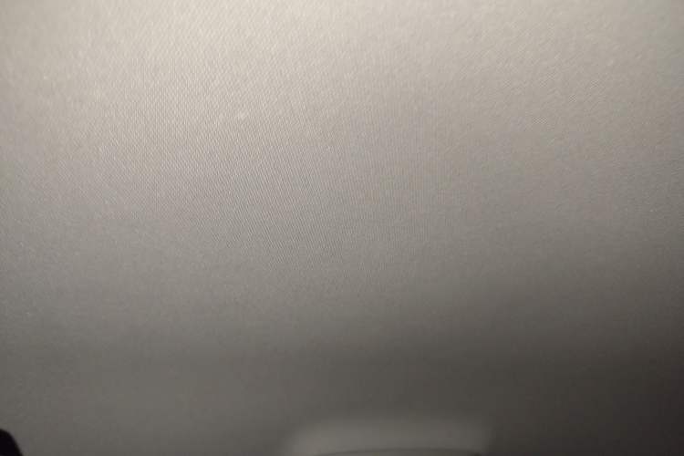 Used Denza 2014 Stylish Edition Headliner