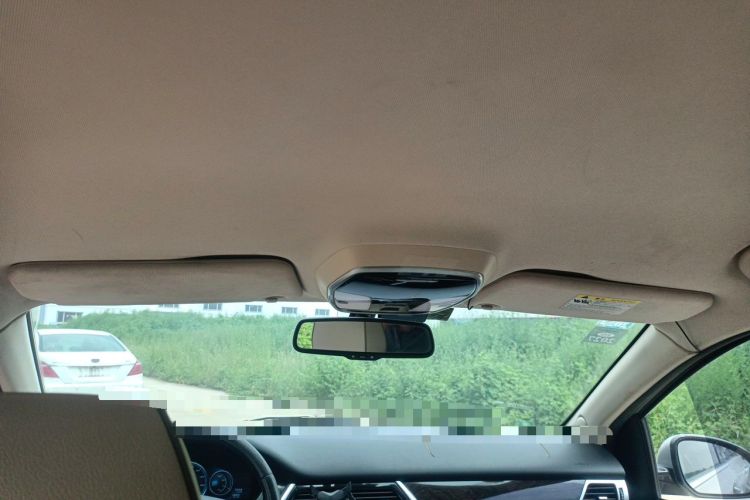 Used Denza 2014 Deluxe Edition Headliner