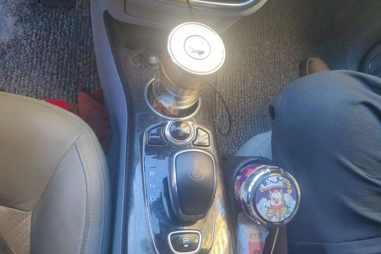 Used Denza 2014 Stylish Edition Gear Lever