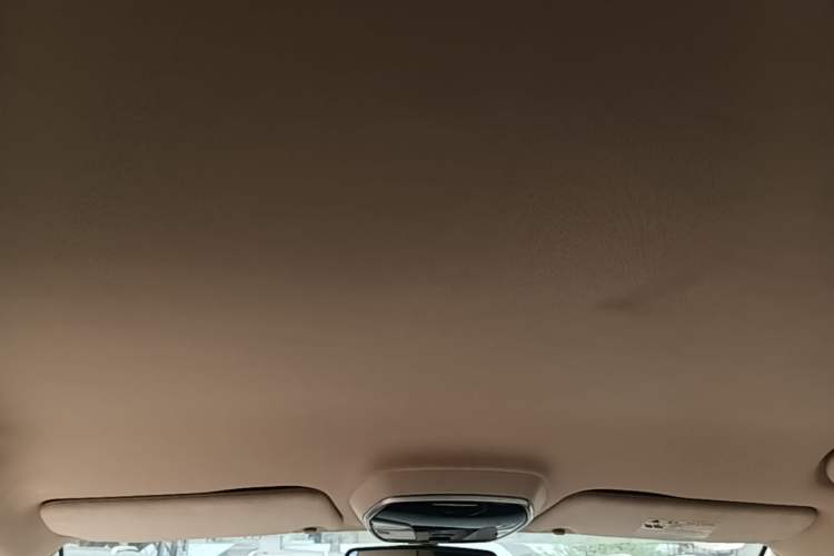 Used Denza 2014 Deluxe Edition Headliner