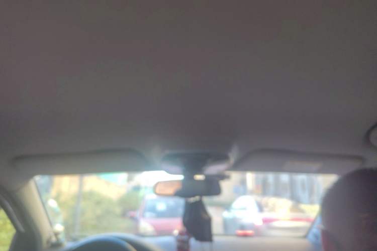 Used Denza 2014 Stylish Edition Headliner