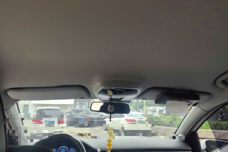 Used Denza 2014 Deluxe Edition Headliner