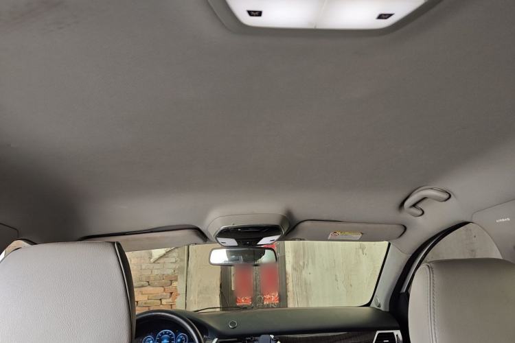 Used Denza 2014 Deluxe Edition Headliner