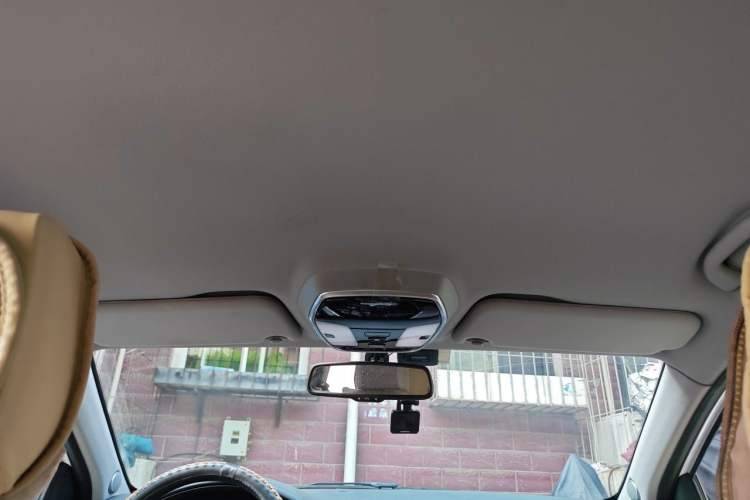 Used Denza 2014 Deluxe Edition Headliner