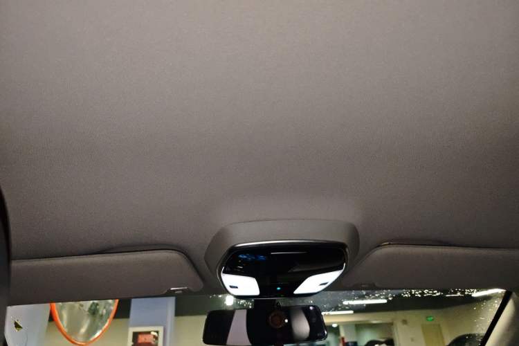 Used Denza 2014 Stylish Edition Headliner