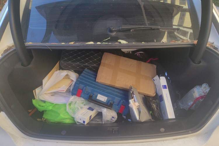 Used Denza 2014 Stylish Edition Trunk