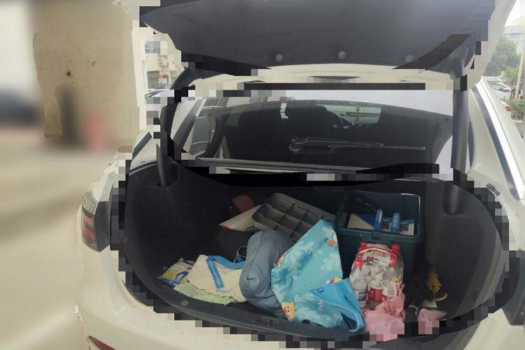 Used Denza 2014 Deluxe Edition Trunk