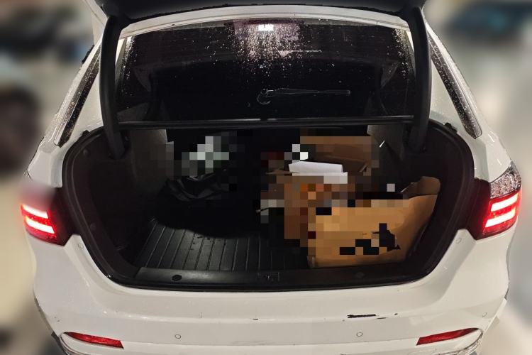 Used Denza 2014 Stylish Edition Trunk