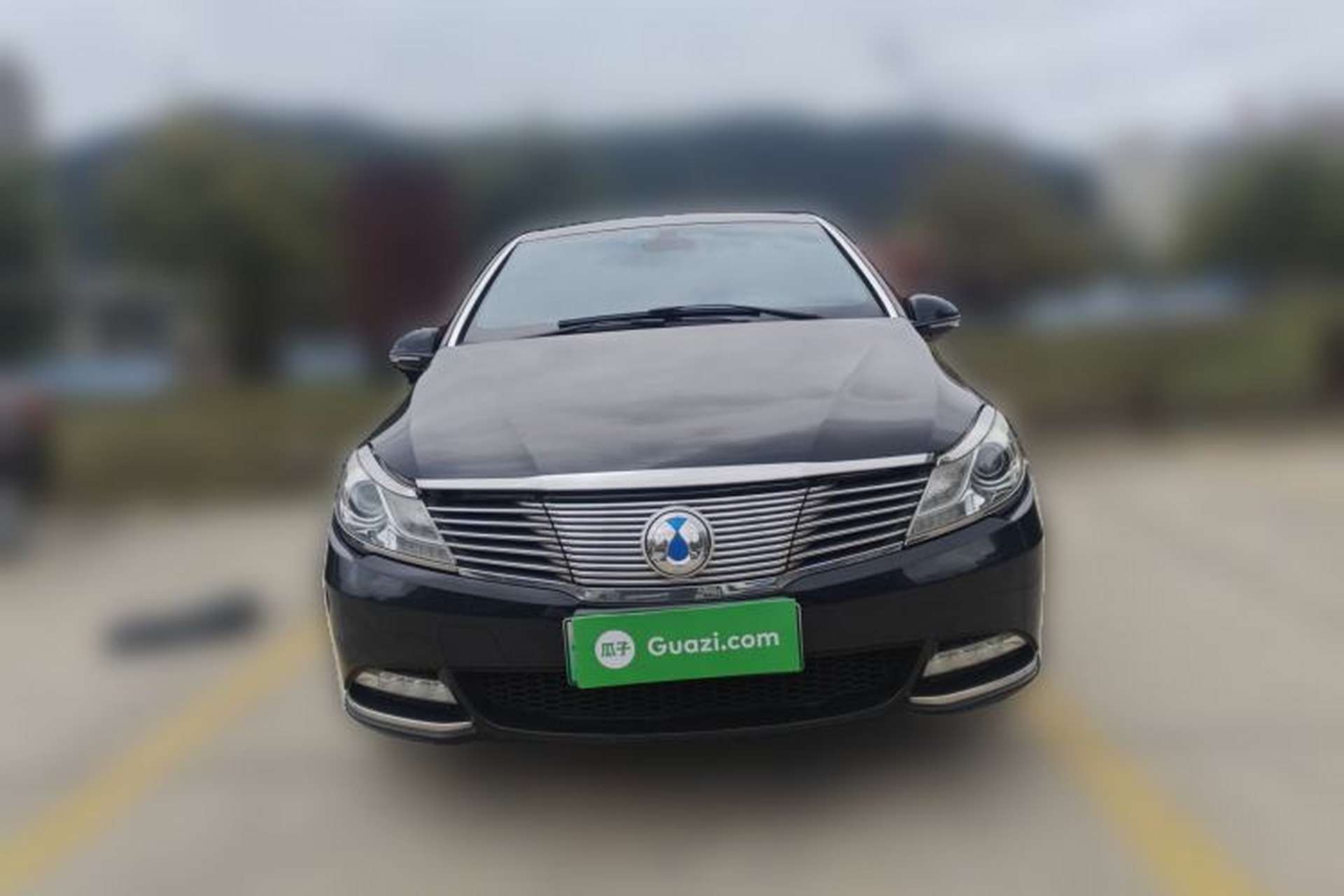 Used Denza 2017 Stylish Edition Front