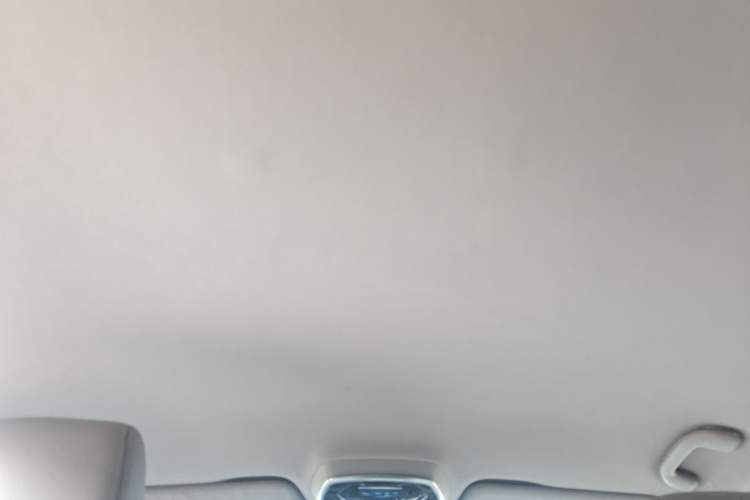 Used Denza 2017 Stylish Edition Headliner