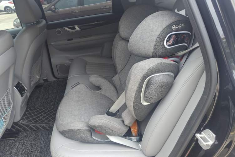Used Denza 2017 Stylish Edition Left Rear Seat