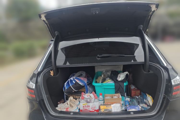 Used Denza 2017 Stylish Edition Trunk