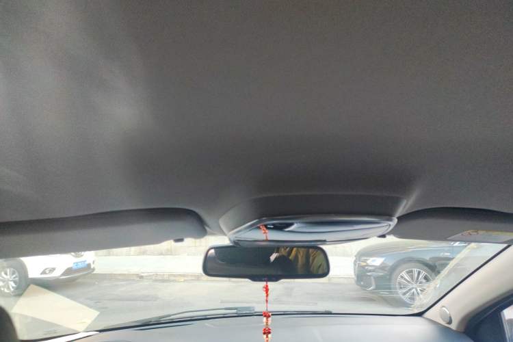 Used Denza 2017 Stylish Edition Headliner