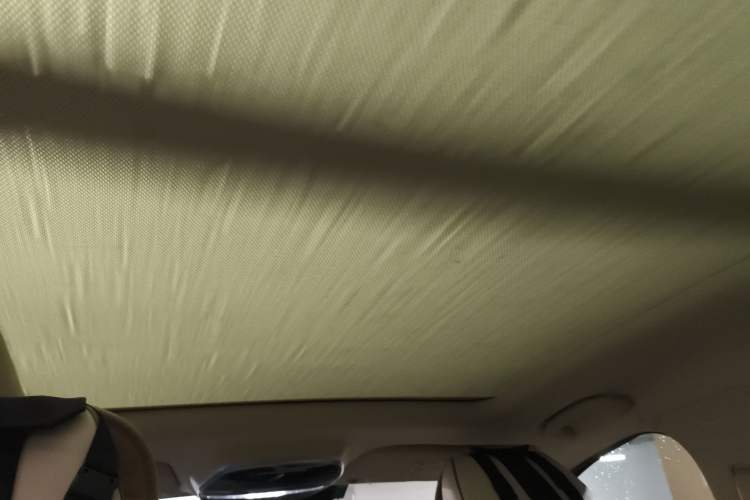 Used Denza 2017 Honor Edition Headliner