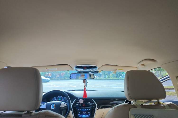 Used Denza 2017 Stylish Edition Headliner