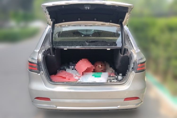 Used Denza 2017 Stylish Edition Trunk