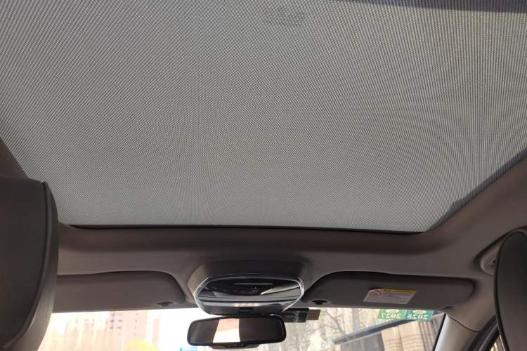 Used Denza 2017 Honor Edition Headliner