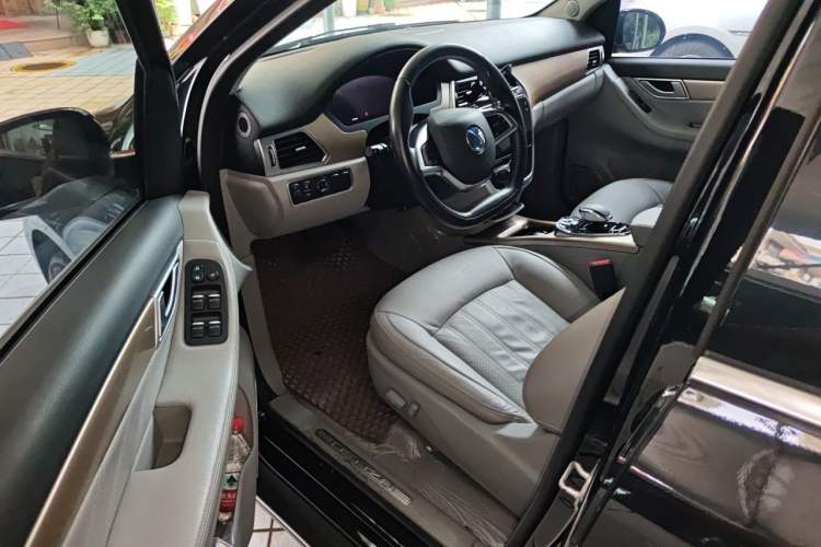 Used Denza 2018 450 Base Version Driver Seat