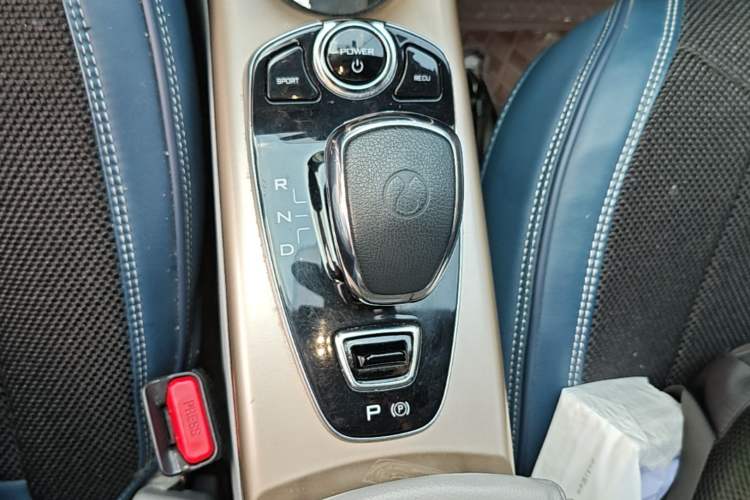 Used Denza 2018 500 Fashion Edition Gear Lever