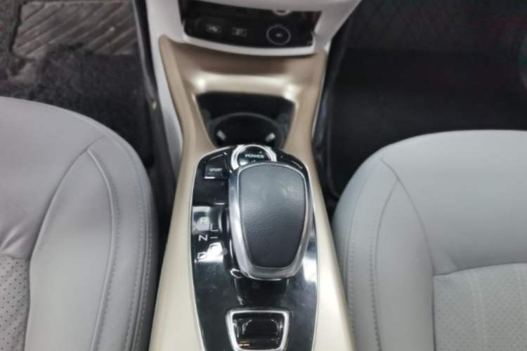 Used Denza 2018 500 Fashion Edition Gear Lever