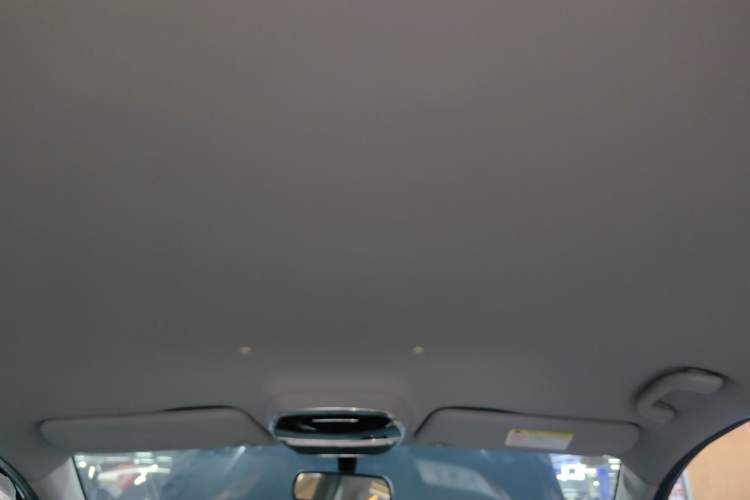 Used Denza 2018 450 Base Version Headliner