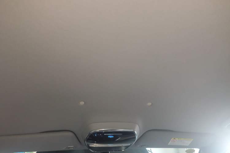 Used Denza 2018 450 Base Version Headliner