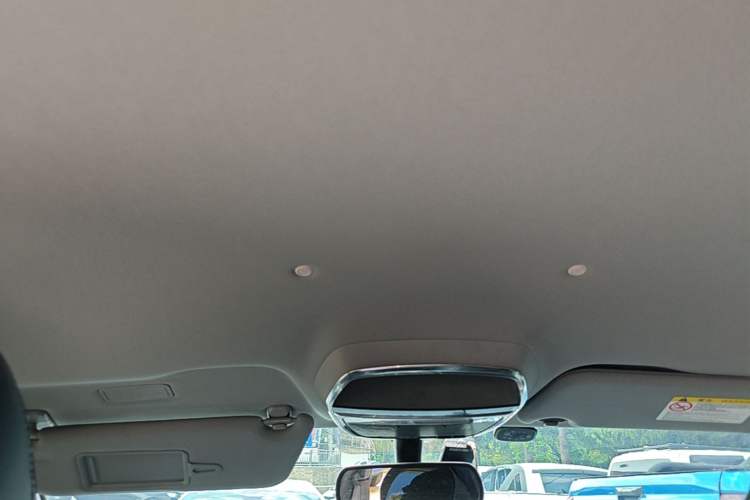 Used Denza 2018 500 Fashion Edition Headliner