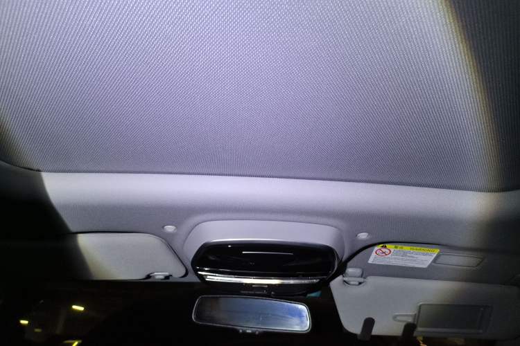 Used Denza 2018 500 Glory Edition Headliner