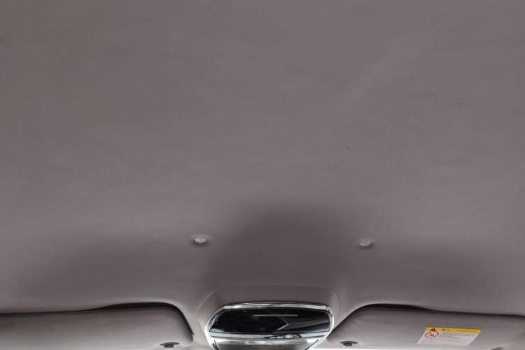 Used Denza 2018 500 Fashion Edition Headliner