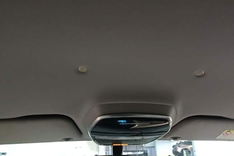 Used Denza 2018 450 Base Version Headliner