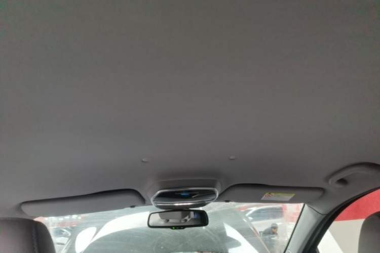 Used Denza 2018 500 Fashion Edition Headliner