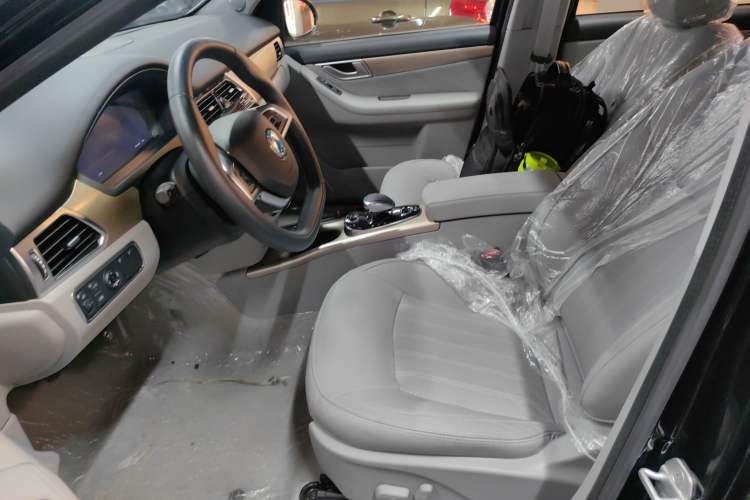 Used Denza 2018 450 Base Version Left Front Seat