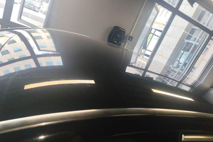 Used Denza 2018 450 Base Version Roof
