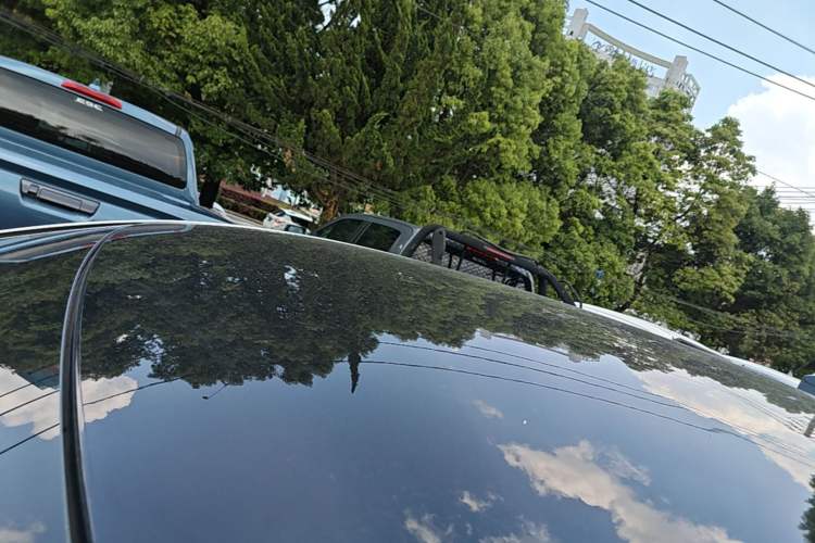Used Denza 2018 500 Fashion Edition Roof