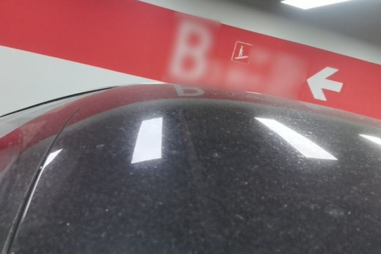 Used Denza 2018 500 Fashion Edition Roof