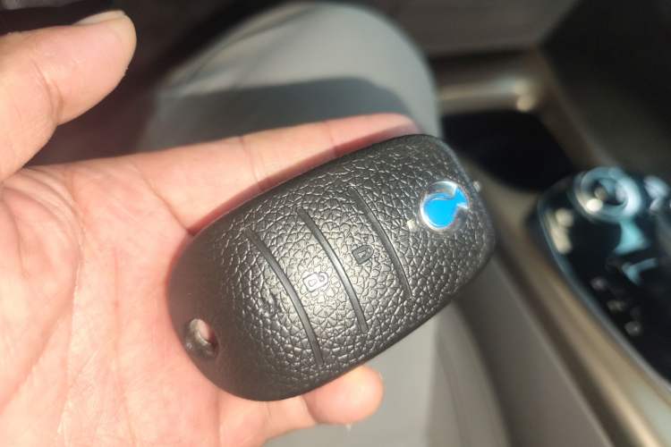 Used Denza 2018 450 Base Version Vehicle Key
