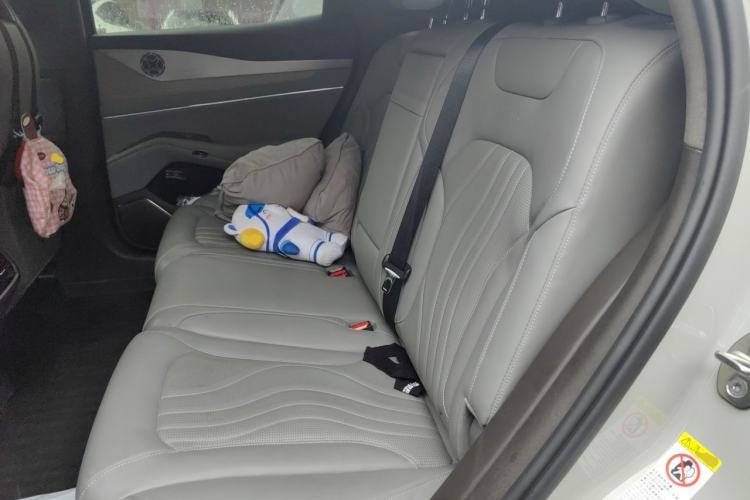 Used Denza N7 2023 with Ultra-Long Range Left Rear Seat