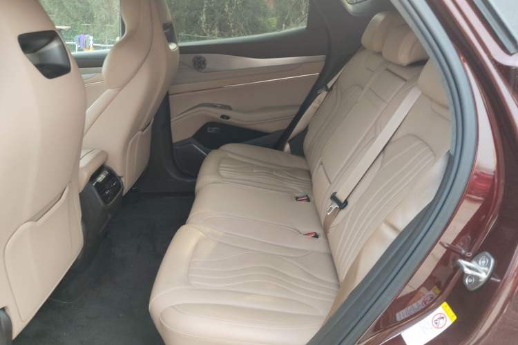 Used Denza N7 2023 Long-Range Performance Max Edition Left Rear Seat