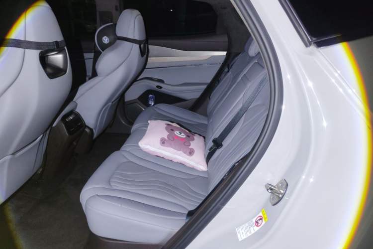Used Denza N7 2023 Long-Range Performance Edition Left Rear Seat