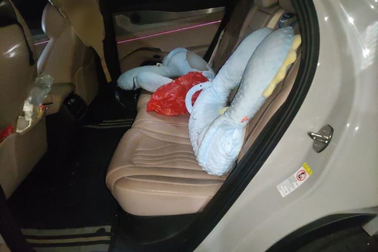 Used Denza N7 2023 Long-Range Performance Edition Left Rear Seat