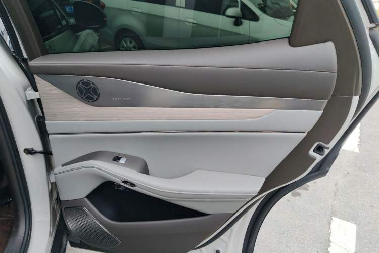 Used Denza N7 2023 Long-Range Performance Edition Right Rear Door Interior
