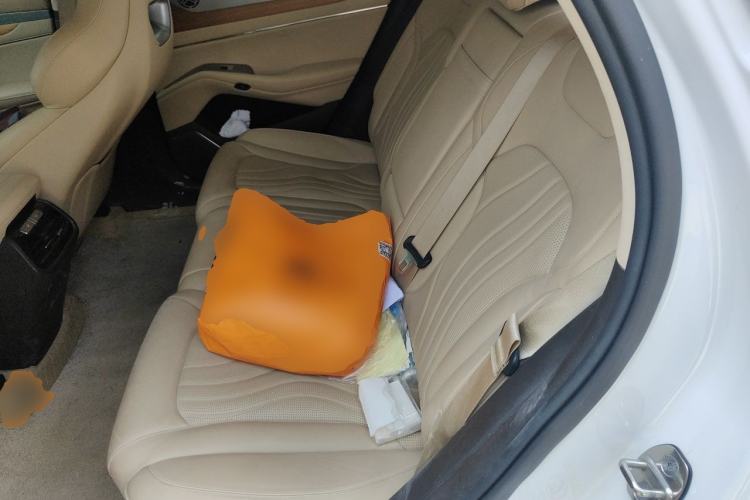 Used Denza N7 2023 Long-Range Performance Edition Left Rear Seat
