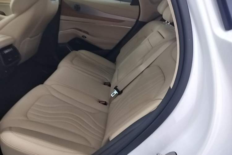 Used Denza N7 2023 Long-Range Performance Edition Left Rear Seat