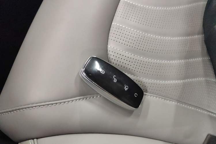 Used Denza N7 2024 630 All-Wheel Drive Intelligent Driving Max Edition Interior 1