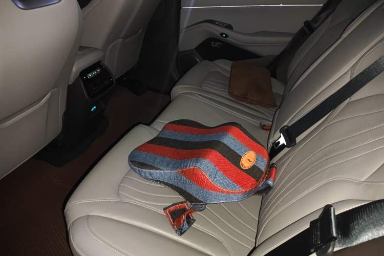 Used Denza N7 2024 702 Smart Drive Pro Edition Left Rear Seat