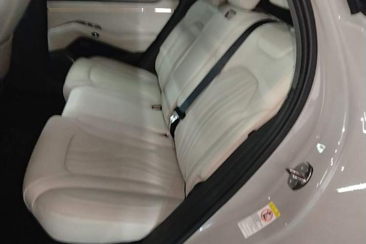 Used Denza N7 2024 702 Smart Drive Pro Edition Left Rear Seat