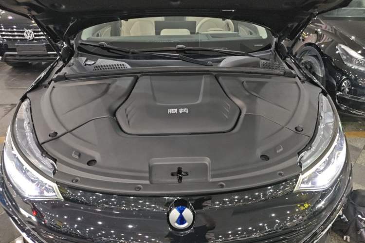 Used Denza N8 2023 Four-Wheel Drive Ultra-Hybrid Flagship Six-Seater Version Engine Bay